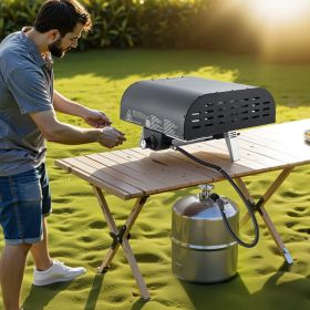 12' Outdoor Pizza Oven Portable Gas Oven Iron Spray  For Camping (red: Black)