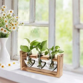 1Pc Plant Terrarium Propagation Station With 3 Heart Shaped Vases Wooden Stand Desktop Air Planter Bulb Glass Vase For Hydroponics Home Office De (red: Vase)