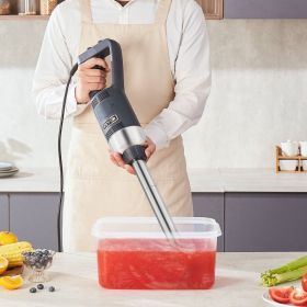 Commercial Immersion Blender 500W Heavy Duty Hand Mixer For Soup Sauces (red: Blue)